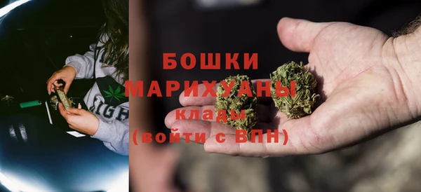 гашик Карпинск