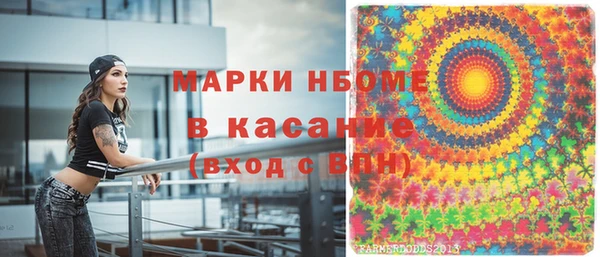 гашик Карпинск