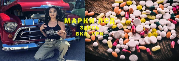 гашик Карпинск