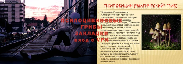 гашик Карпинск