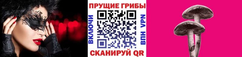 Галлюциногенные грибы Magic Shrooms  Купить  Фатеж 