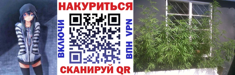 Купить  Фатеж  Шишки марихуана тримм 